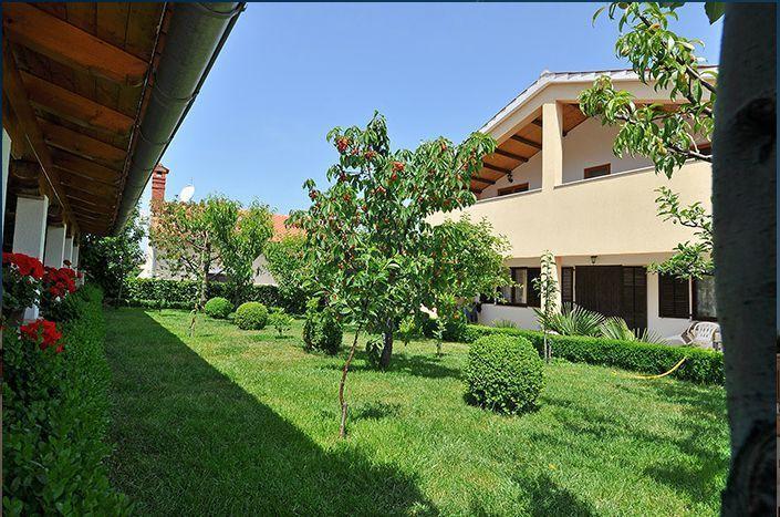 Apartment Pokrajac Rovinjsko Selo Δωμάτιο φωτογραφία